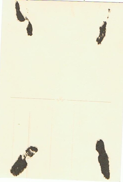 Postcard sized uniform photo of a HJ leader - Image 2